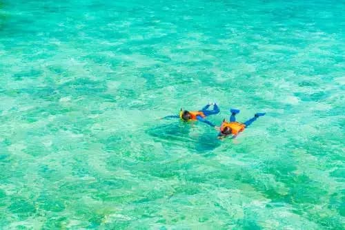 Snorkeling fun