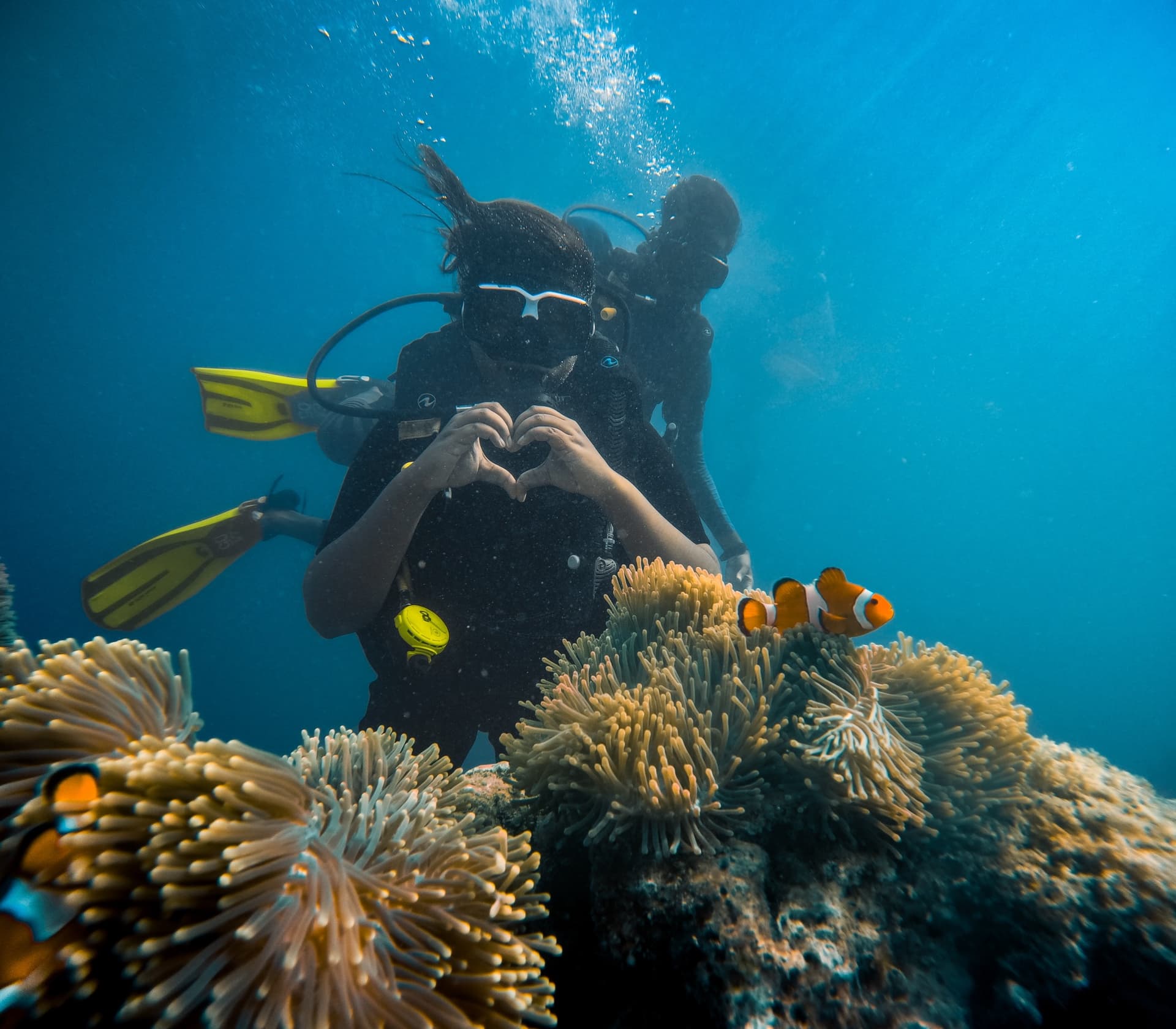 Combo Diving at Juvis and Lighthouse