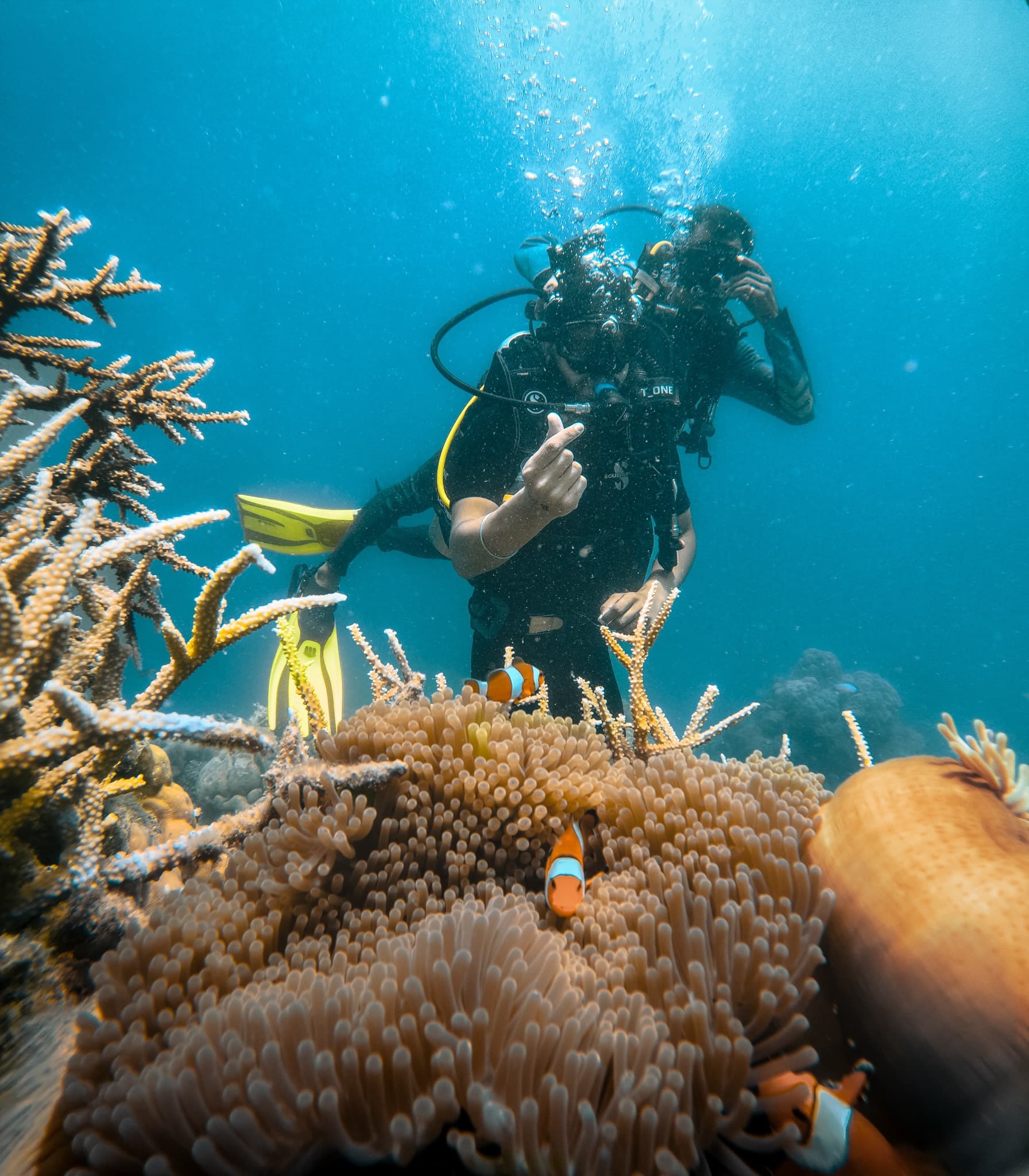 Dive at Turtle Beach Havelock