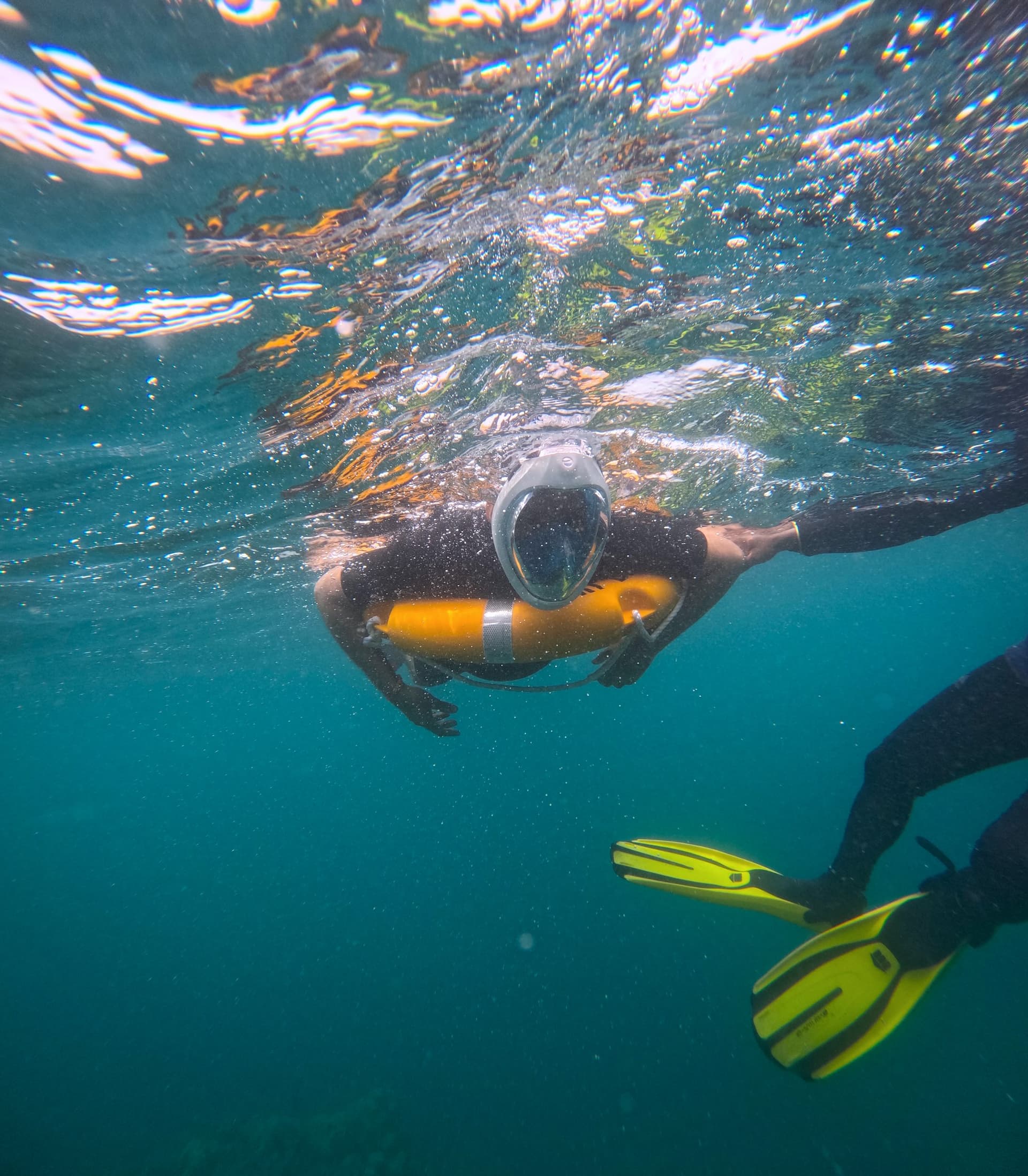 Snorkeling with Boat Ride
