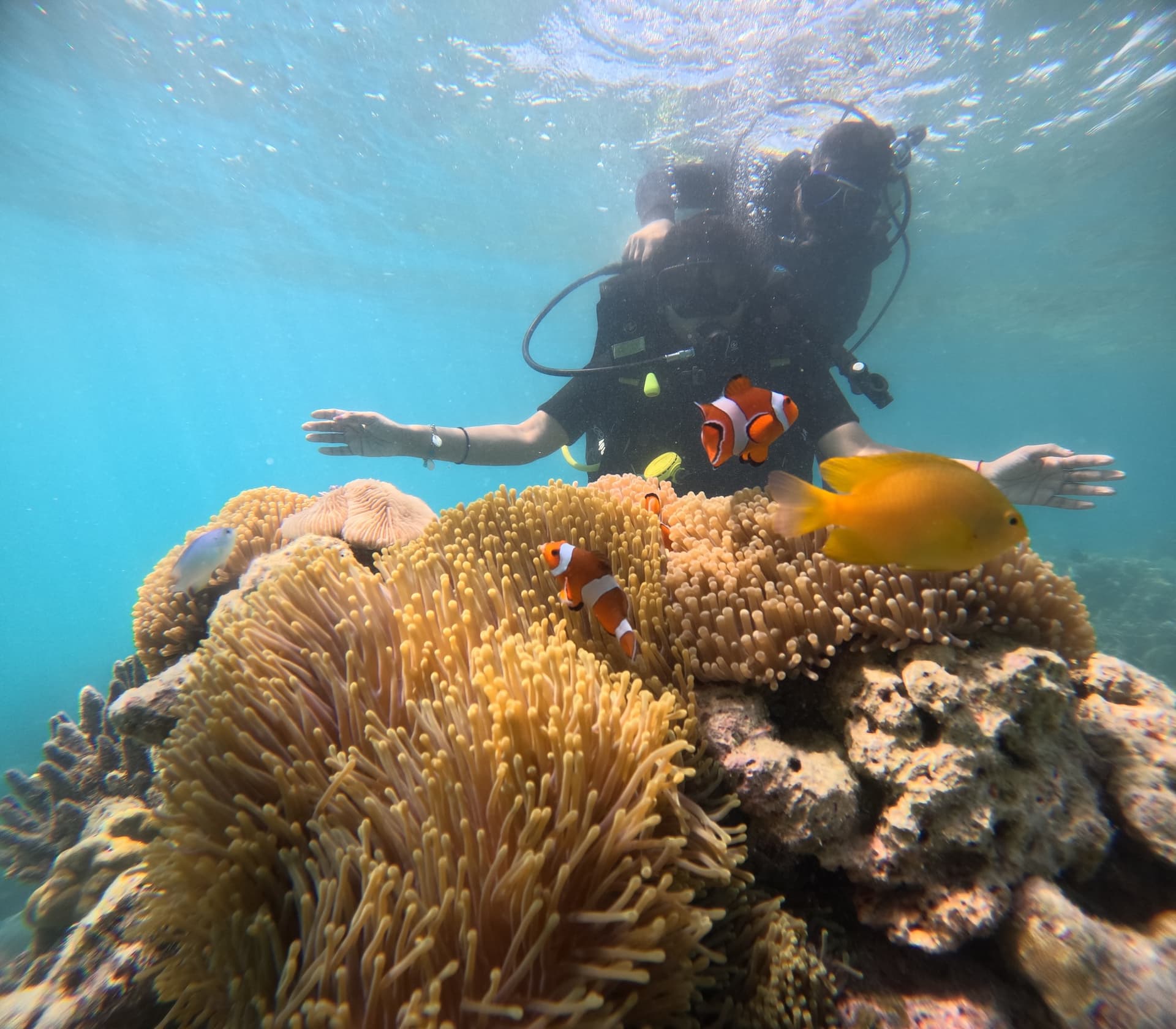 PADI Discover Scuba Dive at Tribe Gate