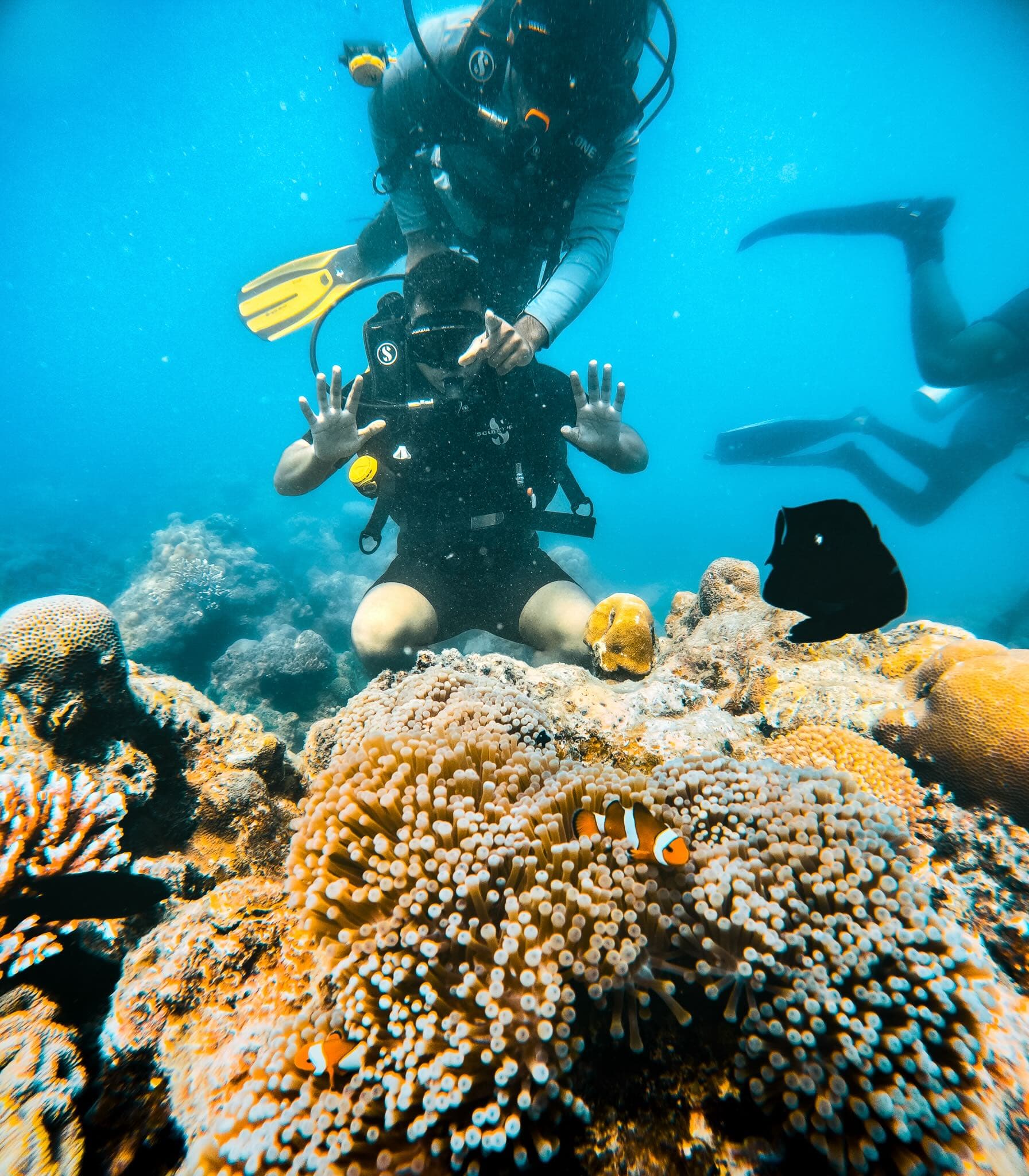 Dive at Juvis Dive Site