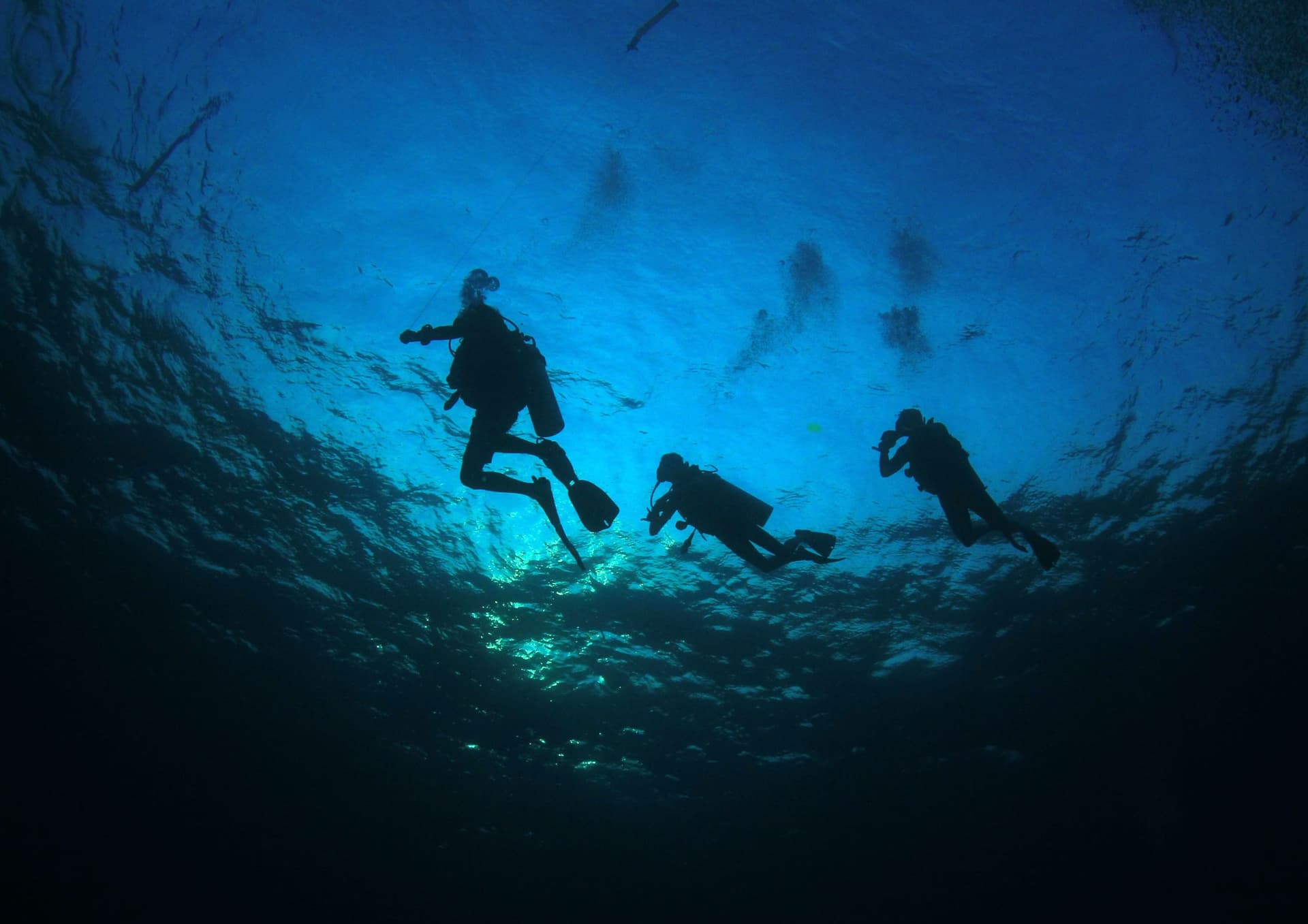 PADI Diving Courses