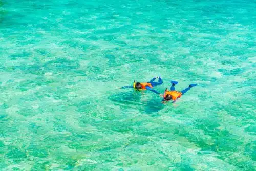 Snorkeling with Boat Ride
