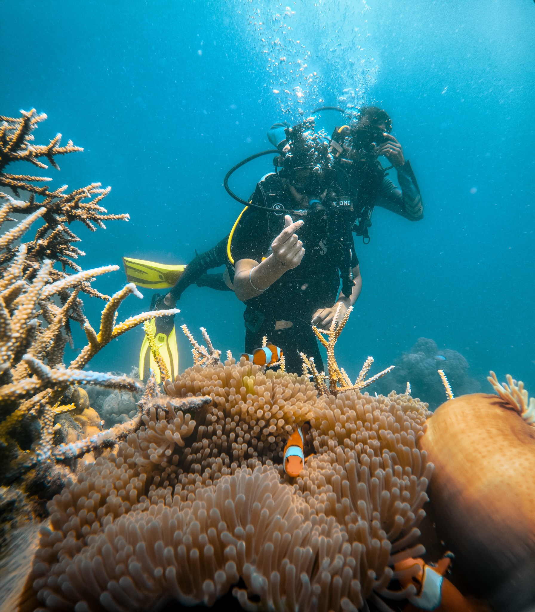 Dive at Turtle Beach Havelock