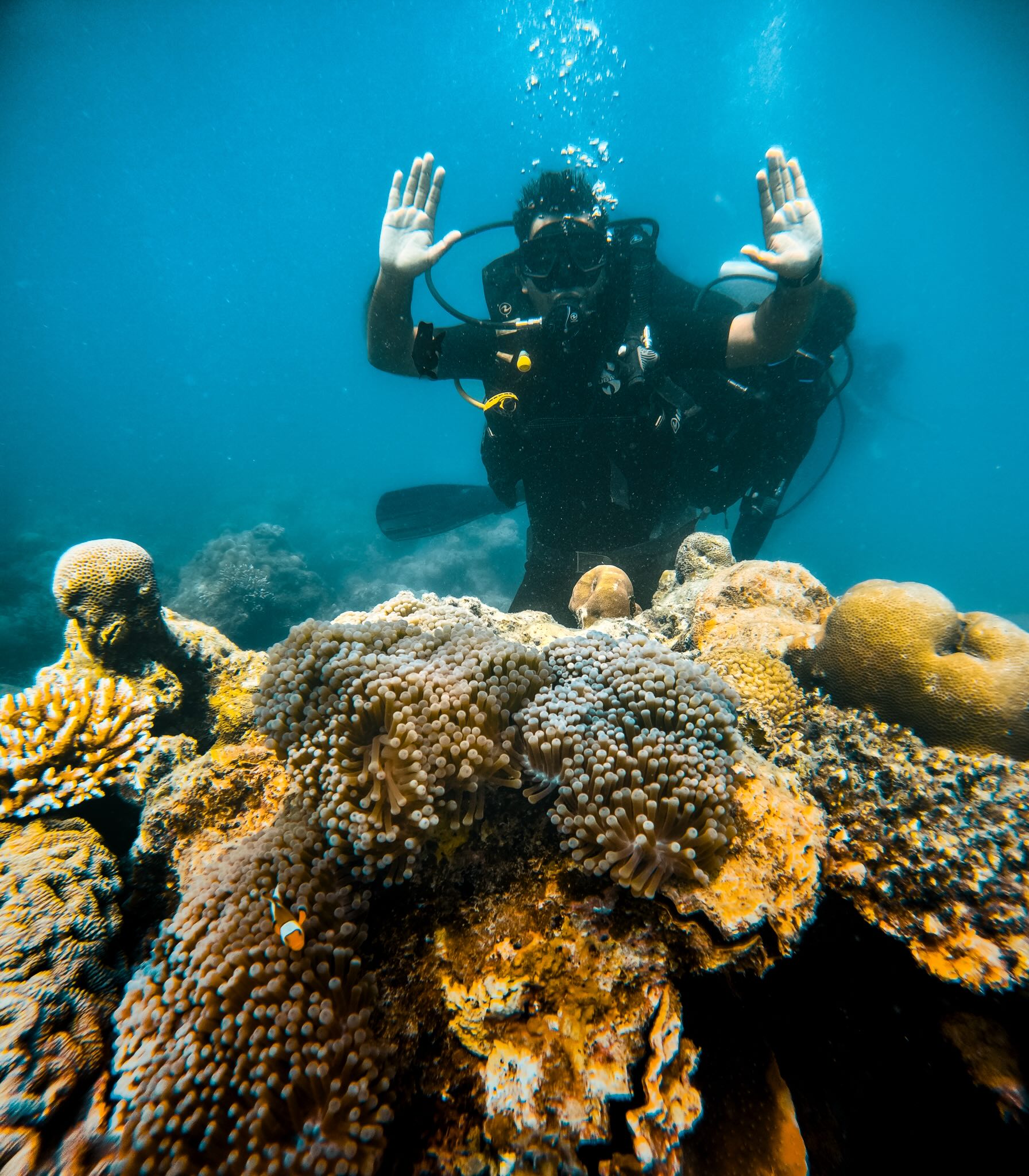 Dive at Juvis Dive Site