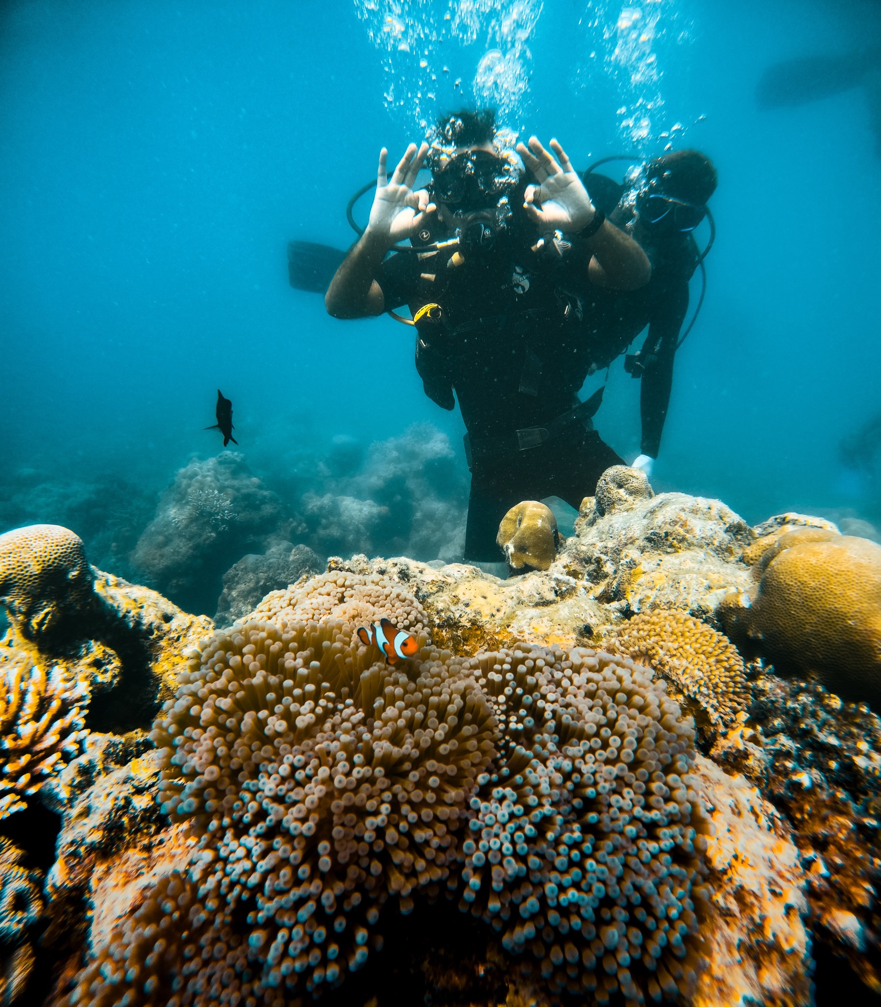 Shore Diving at Nemo Reef