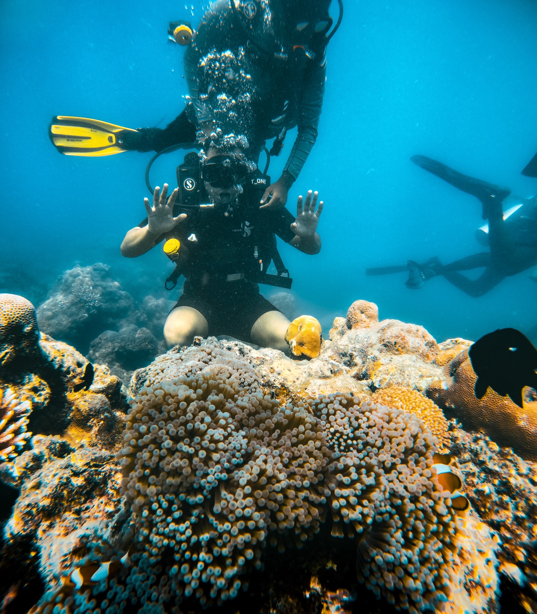 Shore Diving at Nemo Reef