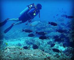 Snorkeling with Boat Ride