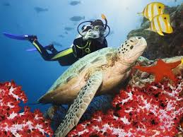 Snorkeling with Boat Ride