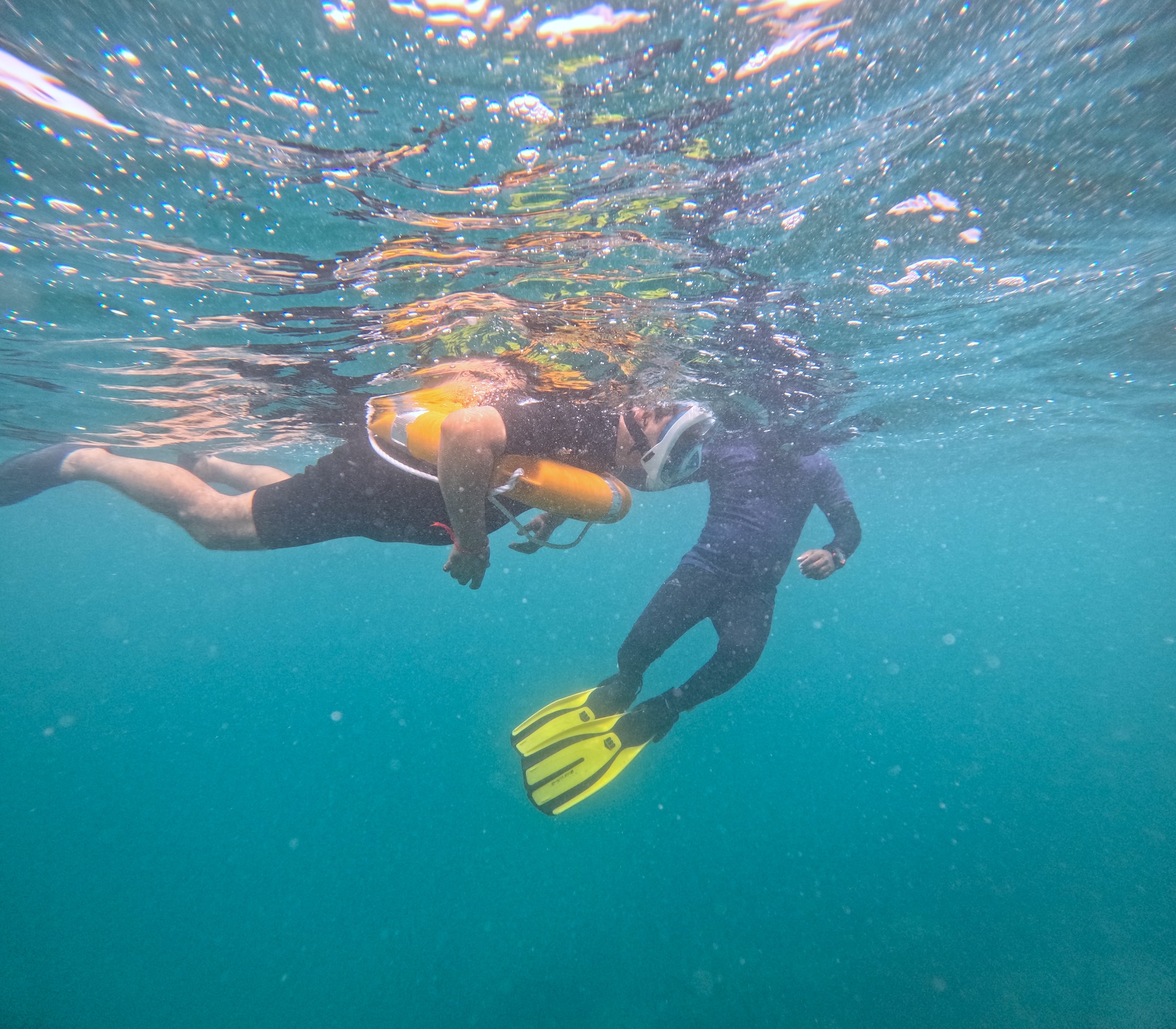 Snorkeling in Havelock Island